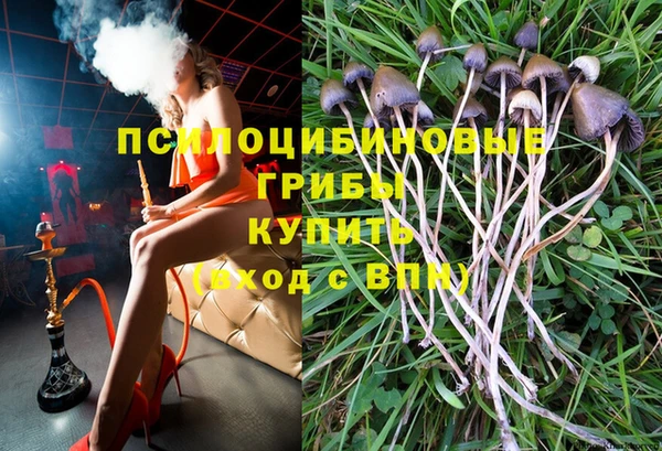 марки lsd Вяземский