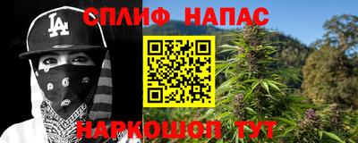 сатива Заволжье