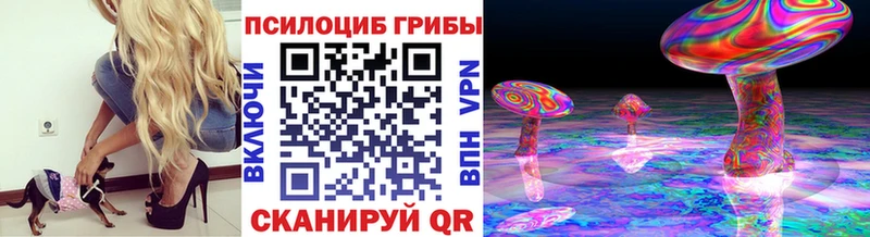Псилоцибиновые грибы Cubensis  даркнет сайт  Нерюнгри 