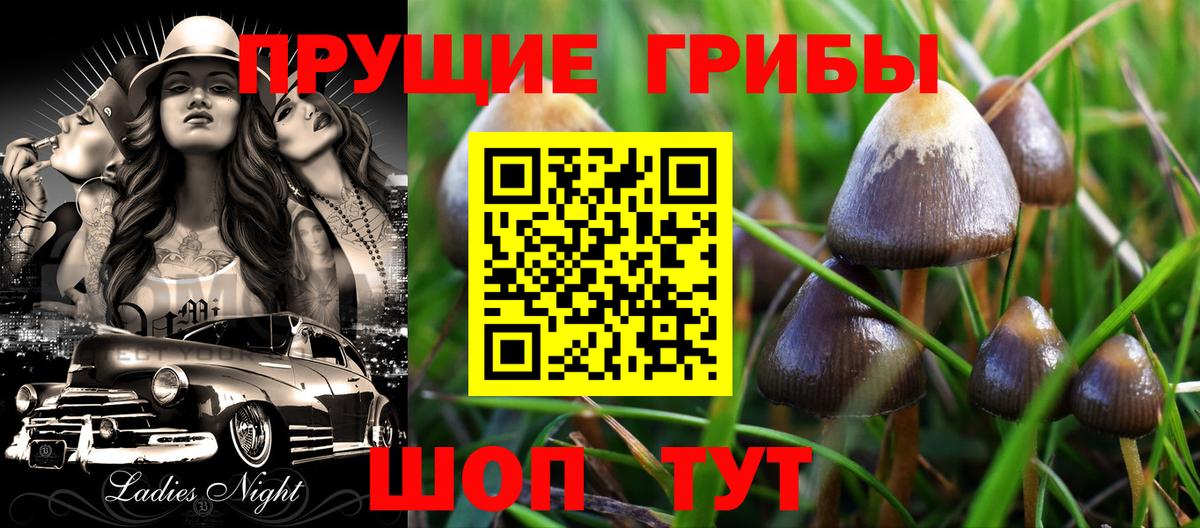 Псилоцибиновые грибы Cubensis  купить наркоту  Вход с VPN  Нерюнгри  Галлюциногенные грибы MAGIC MUSHROOMS 