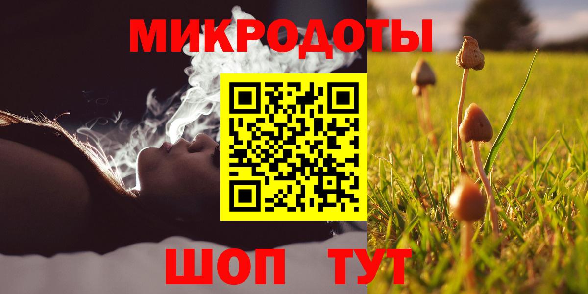 Галлюциногенные грибы MAGIC MUSHROOMS Нерюнгри
