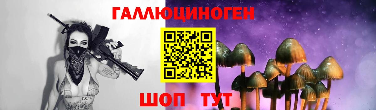 Псилоцибиновые грибы GOLDEN TEACHER Нерюнгри